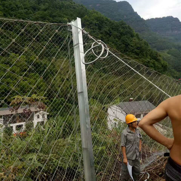 菱形被动防护网图片2