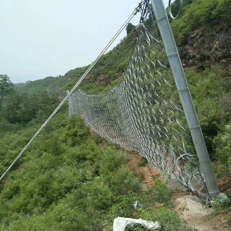 菱形被动防护网图片3
